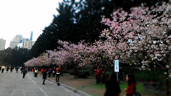 p_P_20150303_173048_MT