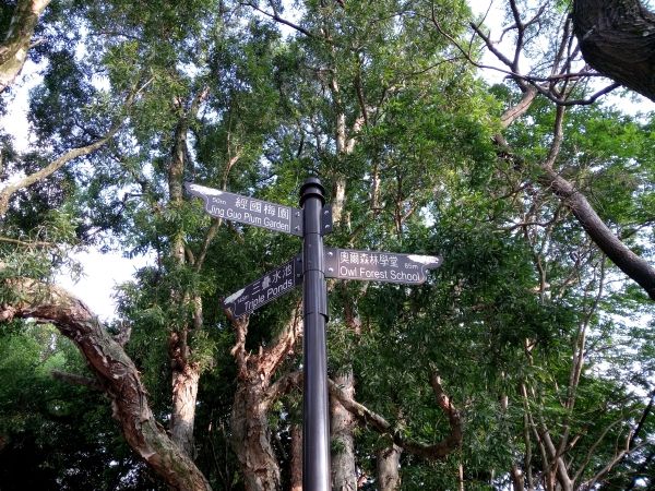 p_IMG_20150712_171822