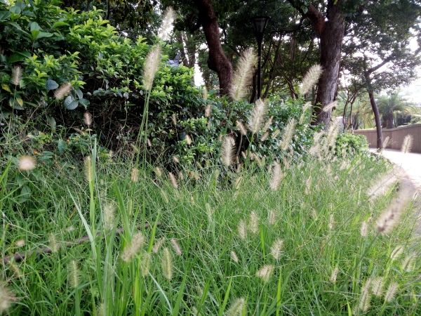 p_IMG_20150712_171858