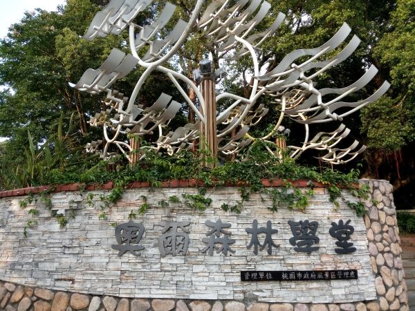 p_IMG_20150712_171955