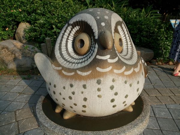 p_IMG_20150712_172203