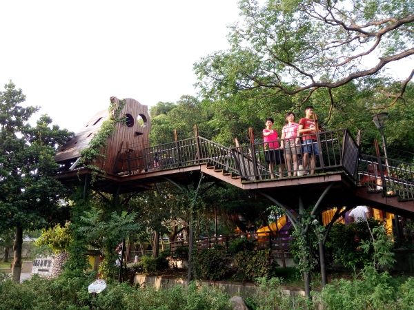 p_IMG_20150712_172220