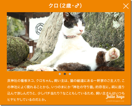 【貓的視界】喵星人導遊帶路囉! 街景地圖帶你神遊廣島尾道貓之細道