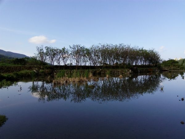 p_IMG_20150925_154825