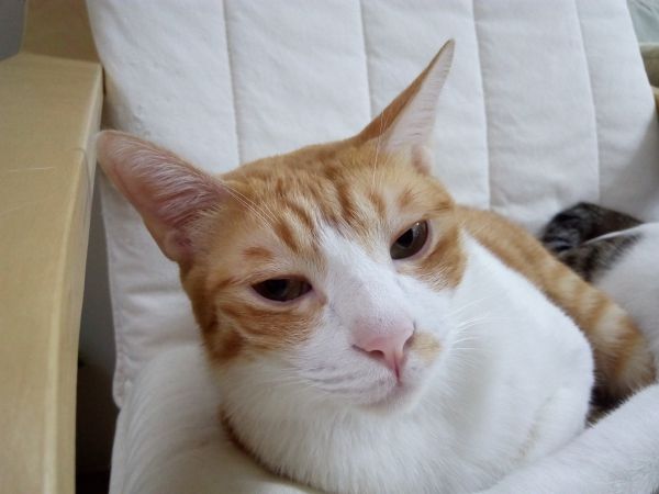 p_IMG_20150927_160813