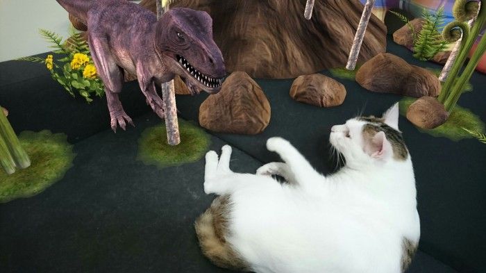 p_AR_EFFECT_20151022130716