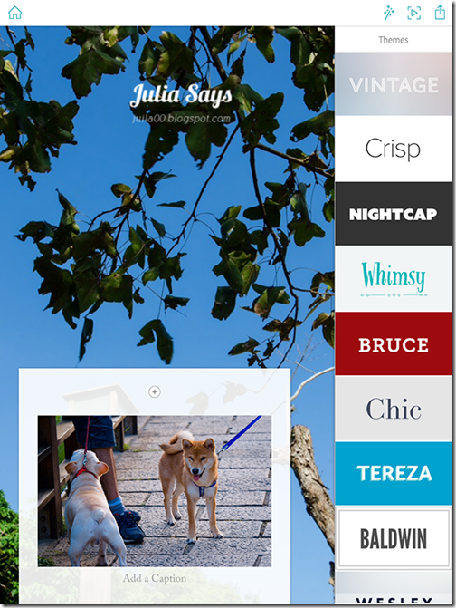 Adobe Slate 輕鬆做出雜誌風故事書，活用生活工作數位學習 (Web版/ iPad)