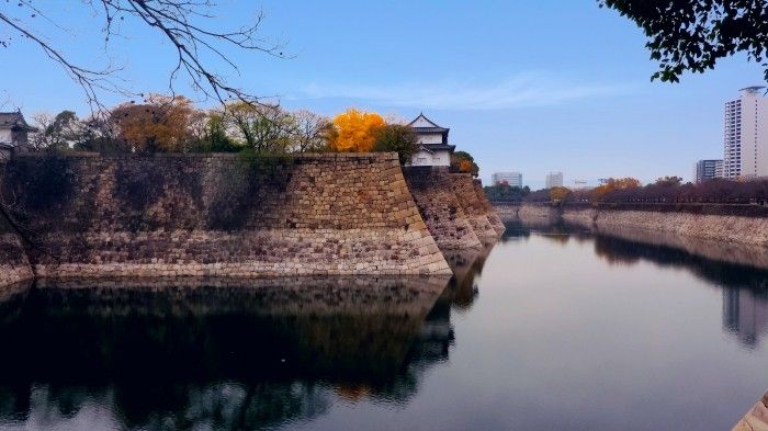 p_IMG_20151215_134607