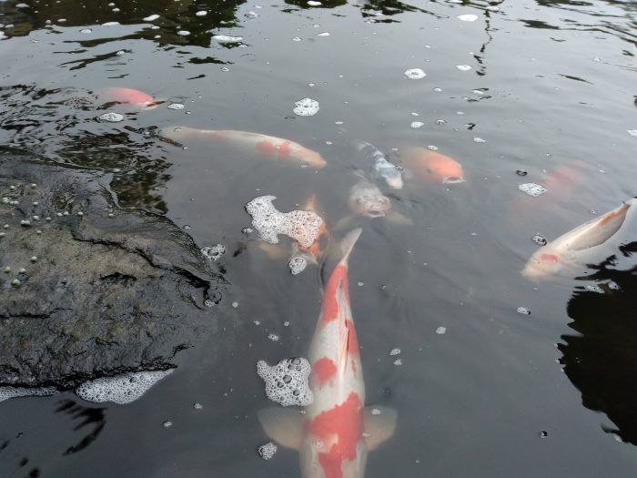 IMG_20160521_164539668