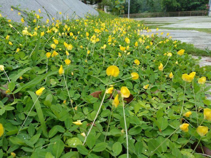 IMG_20160521_164810179