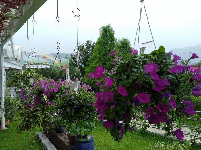 IMG_20160521_165016660