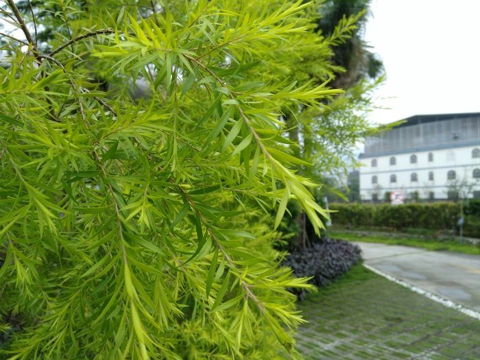 IMG_20160521_165520507