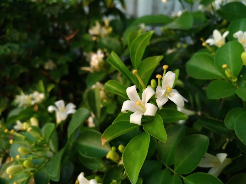 P_20160726_174129_vHDR_On