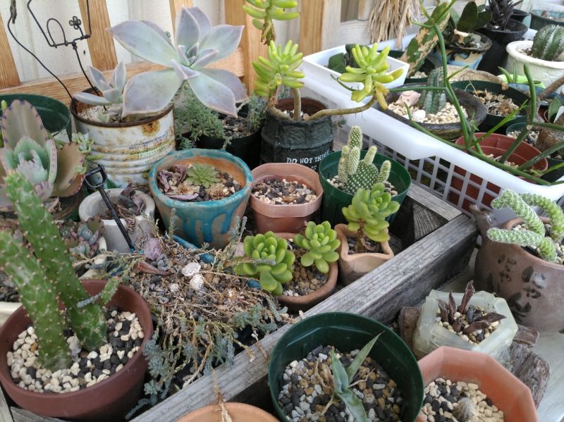 P_20160826_121424_vHDR_Auto