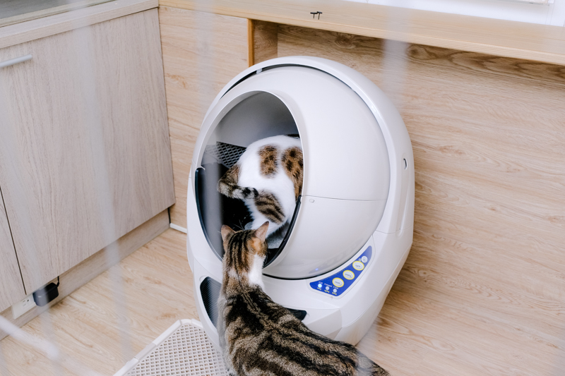 告別鏟屎官！喵星人太空艙 - 自動貓砂機，便便臭味掰掰