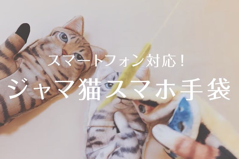 天冷了，「貓咪智能手套」暖和你的手...和你的心！