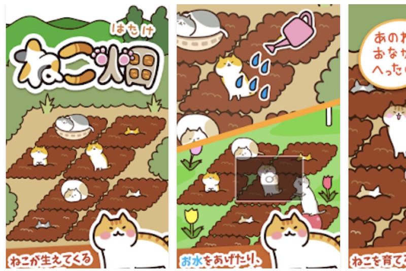 超療癒app 《貓咪田園》，"種"出貓兒成群的夢想世界！