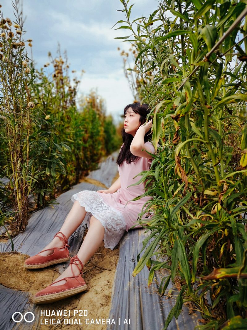 化身藏在民間的高手，用手機也能拍出像雜誌般封面的強大照片！