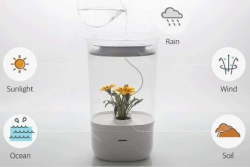 不用擔心沒時間照顧，智慧溫室 Bloomengine 讓種花變得超方便！