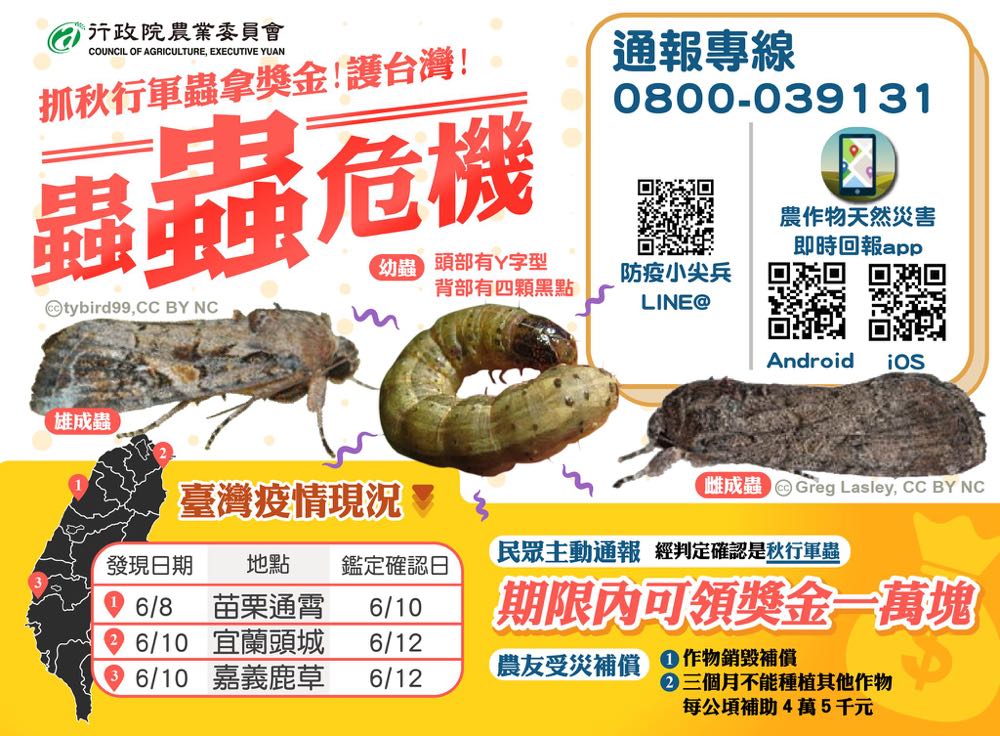 全民動起來-消滅秋行軍蟲，通報還有 1 萬元獎金！