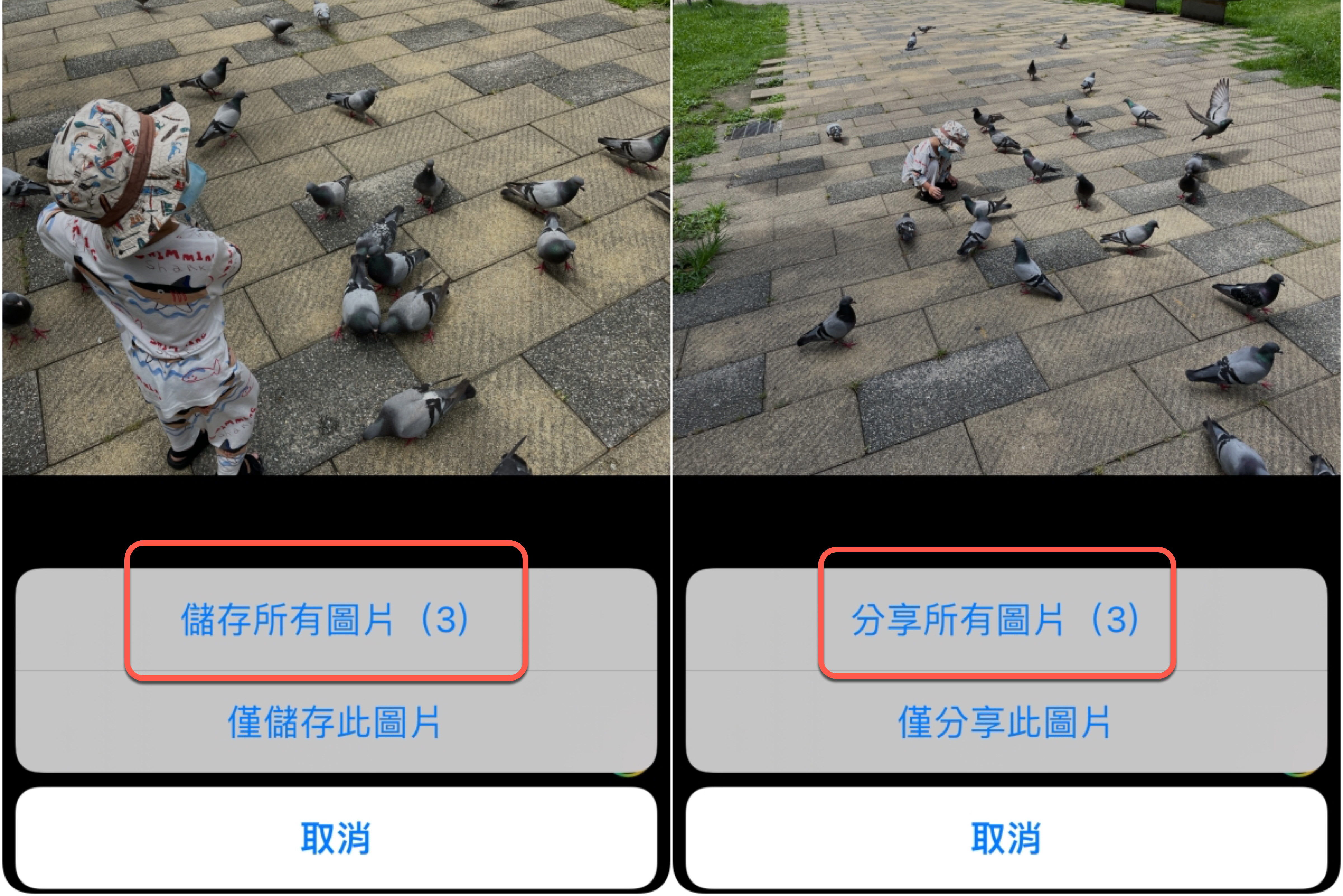 現在 LINE 可以一次下載單一訊息的多張照片，你更新了嗎？