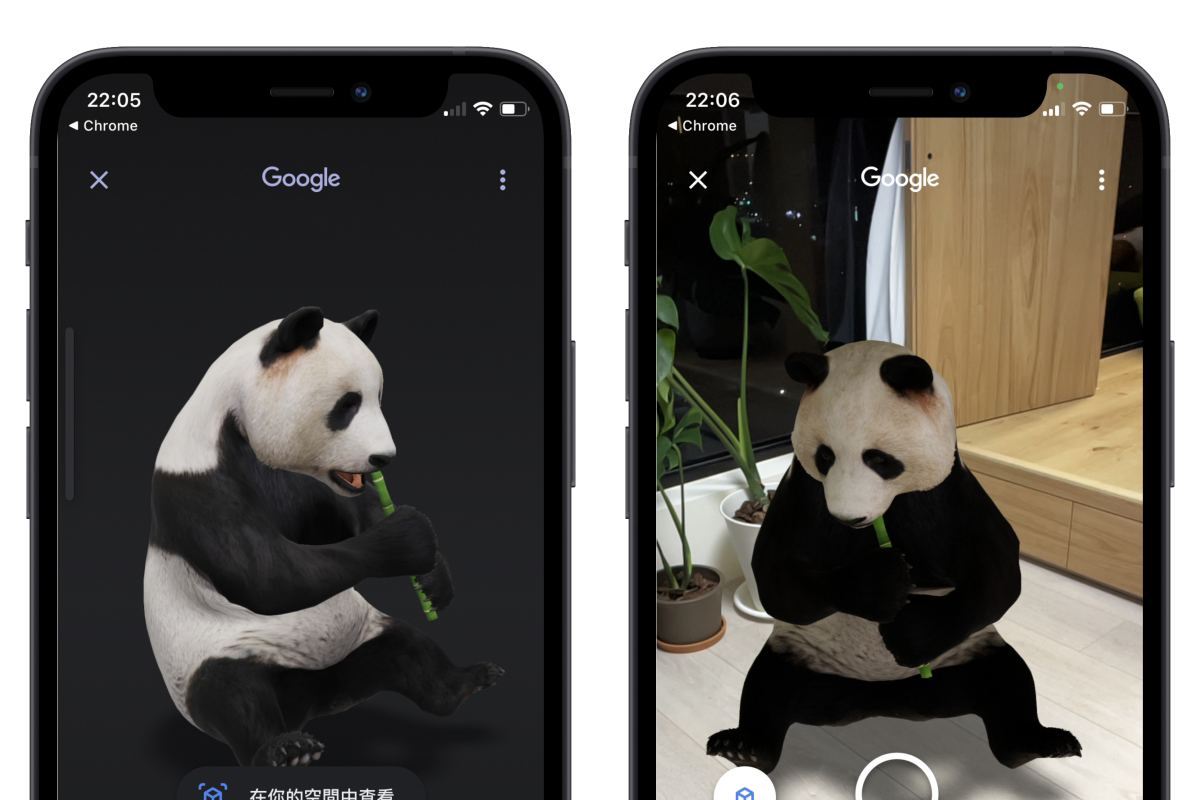 居家防疫快悶壞了嗎？透過 Google AR 實境功能，讓各種動物住進你家