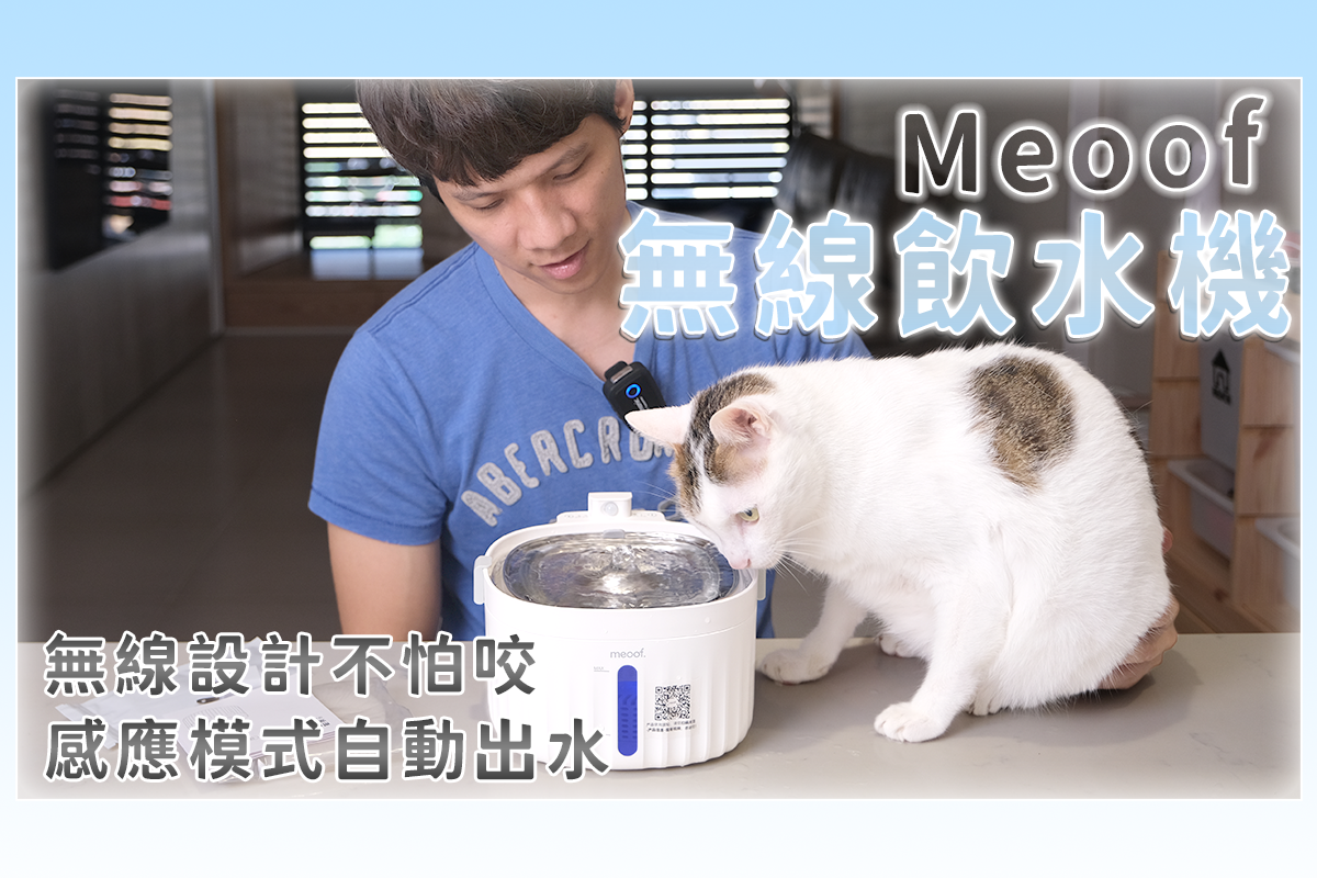 meoof｜寵物無線飲水機充電版開箱，完全無線不怕咬電線！
