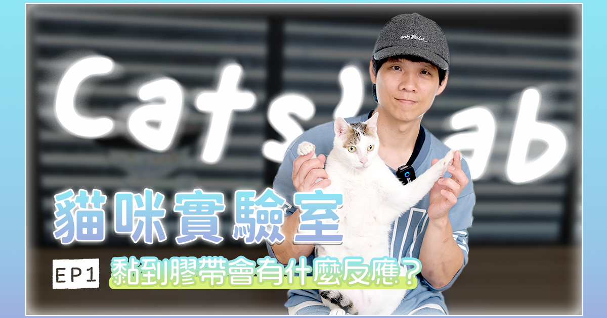 【貓咪實驗室】在我家三隻貓的腳上黏膠帶是什麼反應？
