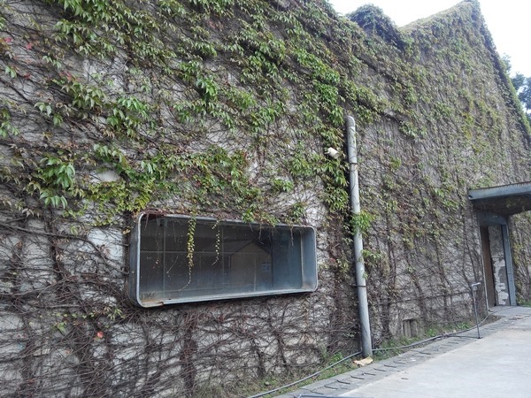 IMG_20140101_081357_1