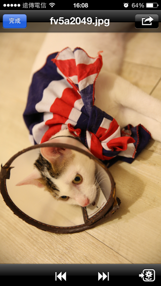 20131230160842-1268011